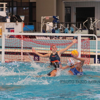 Pallanuoto: oggi la presentazione e domani la semifinale per la 'final four' scudetto per la Mediterranea