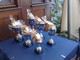 Bordighera: grande successo per la regata a Sant'Ampelio Bordighera: grande successo per la regata a Sant'Ampelio