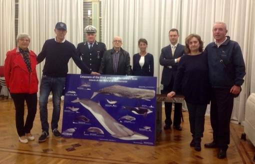 Sanremo: il Consolato del Mare dona alla città un pannello con i cetacei del Mediterraneo