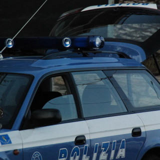 Imperia: trasportava pecore in condizioni disumane, multato camionista spagnolo