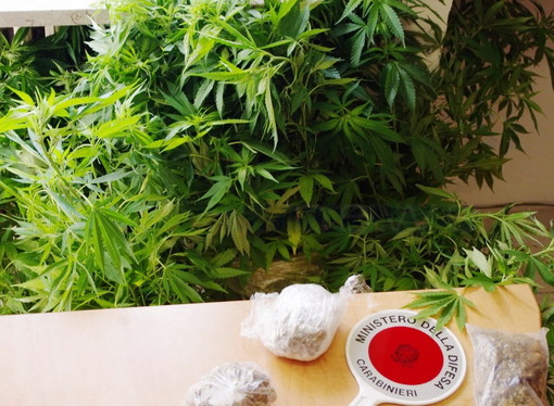 Ventimiglia: esponente di sinistra cede una dose di 'maria' ad uno di destra, arrestato per spaccio Ventimiglia: esponente di sinistra cede una dose di 'maria' ad uno di destra, arrestato per spaccio