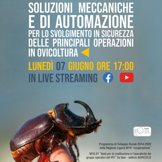 Lunedì presentazione online del progetto SINOL: un’innovazione per le operazioni in olivicoltura Lunedì presentazione online del progetto SINOL: un’innovazione per le operazioni in olivicoltura