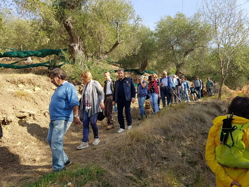 Imperia: soddisfazione per la prima giornata nazionale della 'Camminata fra gli Olivi', il commento dell'Assessore Maria Teresa Parodi (Foto)