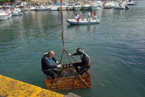 Bordighera: pulizia del porto, il commento dopo l'intensa attività di ieri
