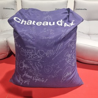 Sanremo: al Tenco un pouf esclusivo firmato dagli artisti del Festival, è all'asta per sostenere le attività di 'Noi4You'