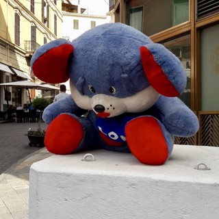 Il peluche abbandonato in via Carli