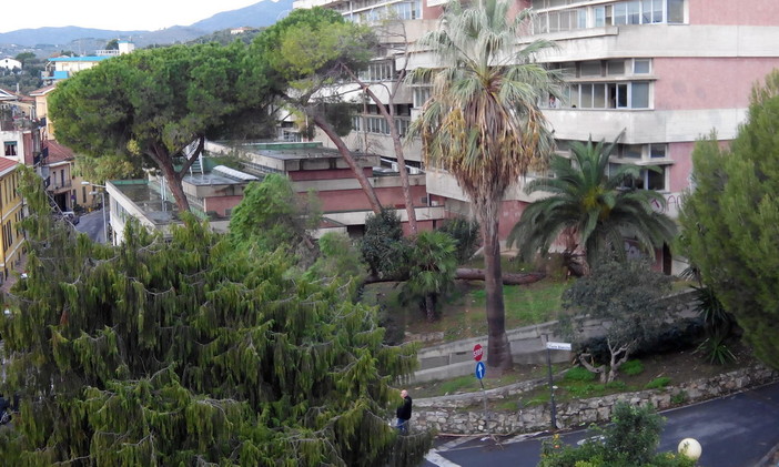 Imperia: orientamento scolastico, serie di appuntamenti e 'porte aperte' ai Licei 'Viesseux' e 'De Amicis' Imperia: orientamento scolastico, serie di appuntamenti e 'porte aperte' ai Licei 'Viesseux' e 'De Amicis'