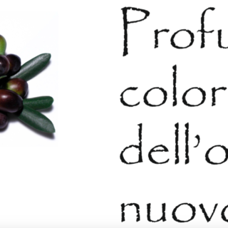 Bordighera: domani giornata dell’Olio nuovo con il percorso di gusto 'Profumi e Colori dell’olio nuovo'