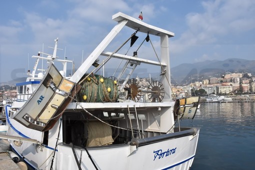Rinnovato il Ccnl pesca. Coldiretti: “Importante segnale di responsabilità per il settore ittico” Rinnovato il Ccnl pesca. Coldiretti: “Importante segnale di responsabilità per il settore ittico”