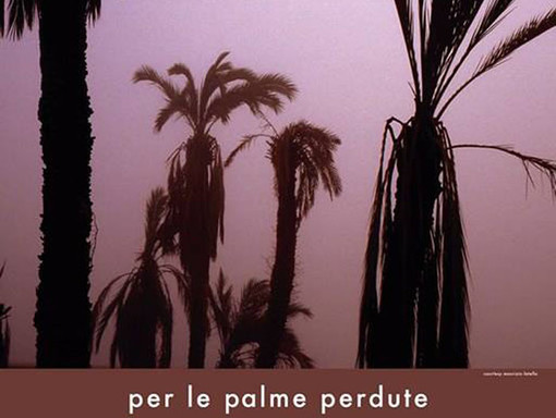 Bordighera: sabato al via il Concorso Fotografico Mediterraneo "Per le palme perdute" e la Mostra Fotografica di Ferruccio Carassale e Alberto Giacca Bordighera: sabato al via il Concorso Fotografico Mediterraneo "Per le palme perdute" e la Mostra Fotografica di Ferruccio Carassale e Alberto Giacca
