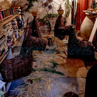 Cervo: per un mese i presepi della mostra-concorso 'Seguendo la stella', le foto di Marcello Nan