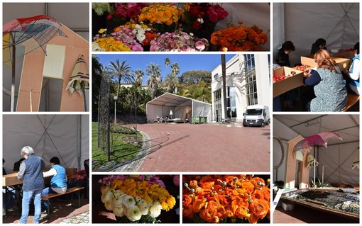 SanremoInFiore 2019: partito ieri a Villa Ormond il lavoro di preparazione del carro di Sanremo (foto e videoservizio) SanremoInFiore 2019: partito ieri a Villa Ormond il lavoro di preparazione del carro di Sanremo (foto e videoservizio)