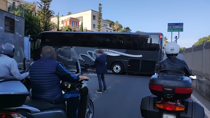 Imperia, pullman resta incastrato in strada: traffico in tilt (Foto) Imperia, pullman resta incastrato in strada: traffico in tilt (Foto)