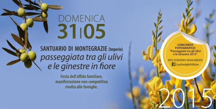 Imperia: domenica 31 maggio passeggiata tra gli ulivi e le ginestre in fiore organizzata da A.p.F. Onlus