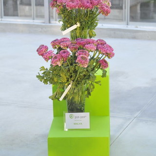 Camporosso: grande apprezzamento a Essen per lo stand Biancheri Creations