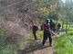 Imperia: pulizia dei sentieri in vista dell’annuale ‘Passeggiata tra gli Ulivi’ e le Ginestre in fiore Imperia: pulizia dei sentieri in vista dell’annuale ‘Passeggiata tra gli Ulivi’ e le Ginestre in fiore