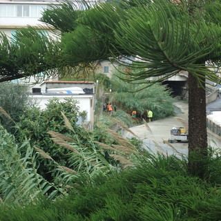 Sanremo: pulizia del torrente San Martino, la preoccupazione di una residente