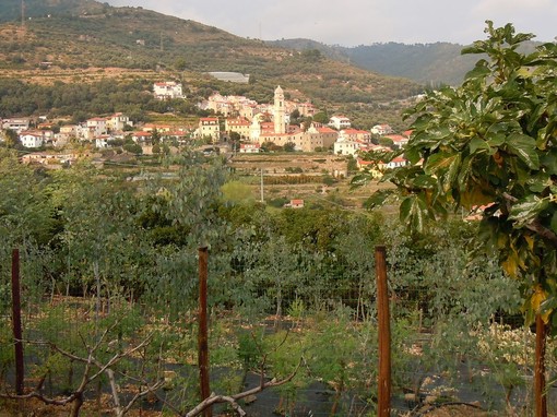 Pompeiana: domenica 28 settembre l'associazione Praugrande e il comune aderiscono all'iniziativa 'Puliamo il Mondo'