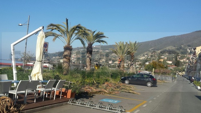Ospedaletti: grande successo di partecipanti questa mattina per la pulizia del verde sulla ciclabile (Foto) Ospedaletti: grande successo di partecipanti questa mattina per la pulizia del verde sulla ciclabile (Foto)
