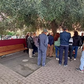 Vallecrosia: rimozione degli alberi in via Don Bosco, lettera aperta dei residenti "Sospendete i lavori!" Vallecrosia: rimozione degli alberi in via Don Bosco, lettera aperta dei residenti "Sospendete i lavori!"