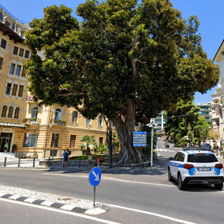 Sanremo, bilico con le travi per il parcheggio di piazza Eroi sbaglia strada e resta incastrato in via Nuvoloni Sanremo, bilico con le travi per il parcheggio di piazza Eroi sbaglia strada e resta incastrato in via Nuvoloni
