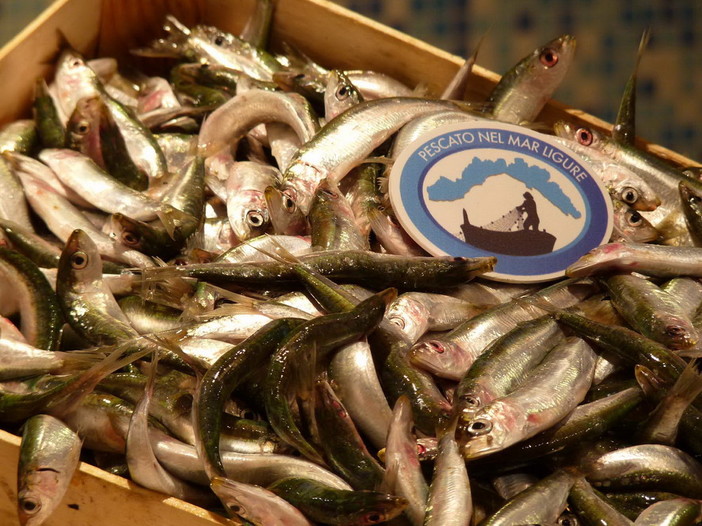 'Pescato nel Mar Ligure' e 'Orto Qui': così Coop Liguria e Legacoop valorizzano l’economia del territorio 'Pescato nel Mar Ligure' e 'Orto Qui': così Coop Liguria e Legacoop valorizzano l’economia del territorio