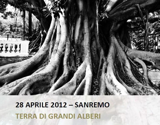 Sanremo: doppio appuntamento sabato prossimo sul patrimonio arboreo monumentale Sanremo: doppio appuntamento sabato prossimo sul patrimonio arboreo monumentale