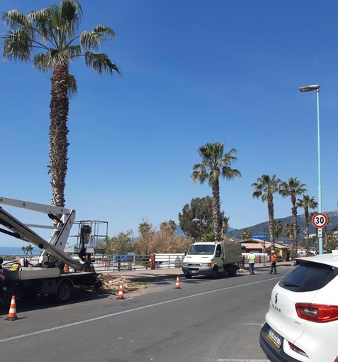 I lavori sul lungomare I lavori sul lungomare