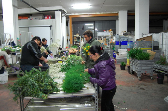 Questa sera la riunione dei giovani dell'Anga per preparare il Corso Fiorito