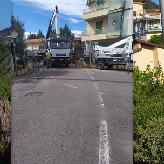 Vallecrosia, al via i lavori per l'abbattimento di un pino: scatta divieto di transito e di sosta in via I Maggio (Foto) Vallecrosia, al via i lavori per l'abbattimento di un pino: scatta divieto di transito e di sosta in via I Maggio (Foto)
