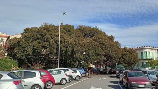 Bordighera, rifacimento della segnaletica: scatta il divieto di sosta sul piazzale del Capo (Foto) Bordighera, rifacimento della segnaletica: scatta il divieto di sosta sul piazzale del Capo (Foto)