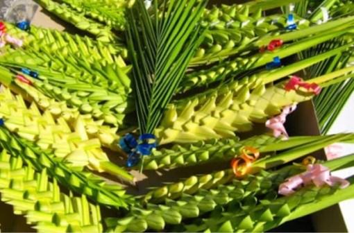 Ventimiglia: domenica prossima i 'parmureli' della Croce Verde Intemelia sui sagrati delle chiese frontalieri Ventimiglia: domenica prossima i 'parmureli' della Croce Verde Intemelia sui sagrati delle chiese frontalieri