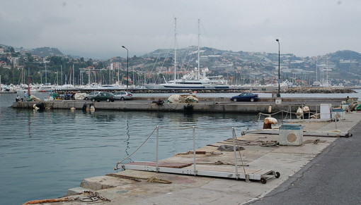 Sanremo: topi in quantità nella zona portuale, il gruppo di FdI-An chiede un intervento immediato
