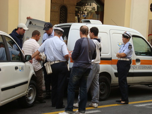 Imperia: chiedevano soldi sotto i portici di Oneglia con un cucciolo di cane, identificati e multati 2 cittadini rumeni