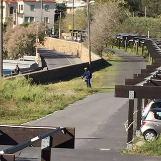 Prosegue la pulizia della pista ciclabile ad opera di Area 24. Purtroppo abbattute anche alcune palme infette Prosegue la pulizia della pista ciclabile ad opera di Area 24. Purtroppo abbattute anche alcune palme infette