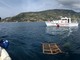 Ospedaletti: pesca illegale con i 'Cannizzi', la Guardia Costiera sequestra 10 impianti (Foto)