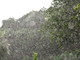 Maltempo sulla nostra provincia: pioggia soprattutto in montagna, il picco ad Apricale con 113 mm Maltempo sulla nostra provincia: pioggia soprattutto in montagna, il picco ad Apricale con 113 mm