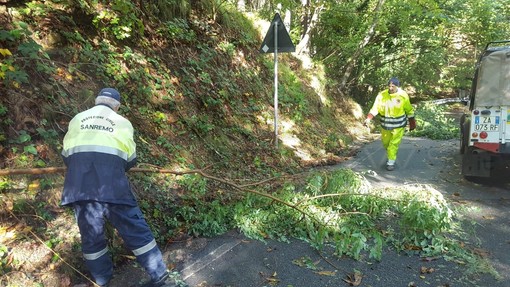 Protezione Civile di Sanremo e Bajardo liberano la strada tra Passo Ghimbegna e Vignai (Foto e Video)