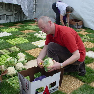 Festival dei Fiori 2010: Belgio e Francia, una sfida europea