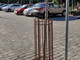 Bordighera: dibattito ‘Ginkgo Biloba’ in piazza della Stazione ieri in Consiglio, le nuove protezioni le aiuteranno? (Foto)