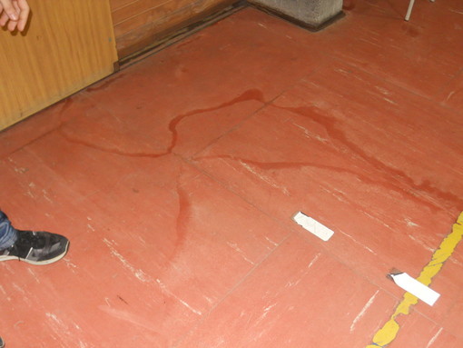 Sanremo: ancora infiltrazioni nella palestra del Liceo Cassini, parla la rappresentante degli studenti Sanremo: ancora infiltrazioni nella palestra del Liceo Cassini, parla la rappresentante degli studenti