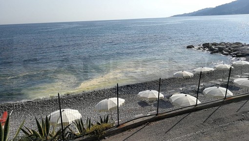 Sanremo: chiazze marroni sul mare vicino alle spiagge, non sono liquami ma il fenomeno del polline (Foto) Sanremo: chiazze marroni sul mare vicino alle spiagge, non sono liquami ma il fenomeno del polline (Foto)