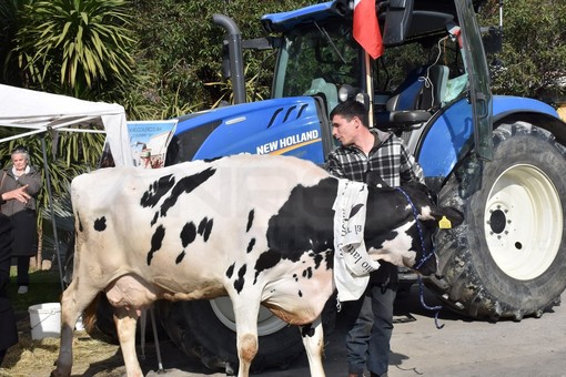 Sanremo: i trattori arriveranno venerdì e resteranno anche sabato, tra Valle Armea e il centro Sanremo: i trattori arriveranno venerdì e resteranno anche sabato, tra Valle Armea e il centro