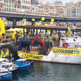 Coldiretti: grandissima partecipazione per il blitz del porto di Genova per l’agricoltura e la pesca… #iostoconlaLiguria Coldiretti: grandissima partecipazione per il blitz del porto di Genova per l’agricoltura e la pesca… #iostoconlaLiguria