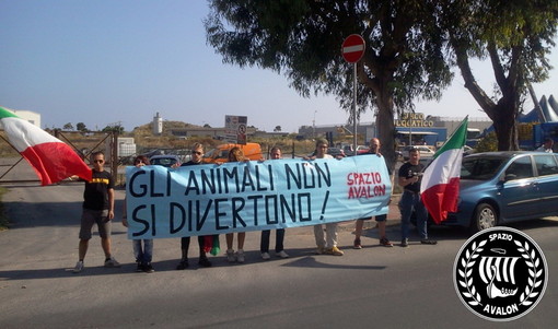Imperia: "Gli animali non si divertono", lo 'Spazio Avalon' dice no al circo