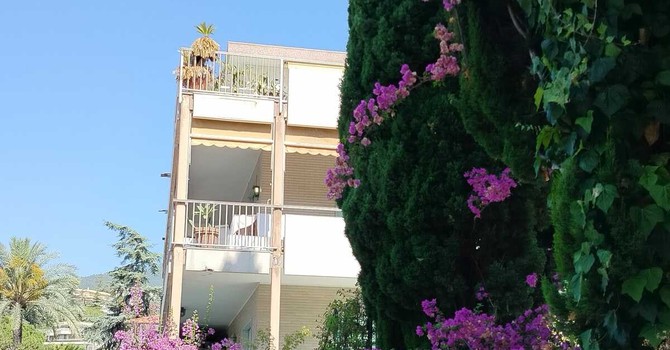 Omicidio di via Hope, i legali di Oldani chiedono rispetto e riservatezza: "I processi si fanno nelle aule di giustizia" Omicidio di via Hope, i legali di Oldani chiedono rispetto e riservatezza: "I processi si fanno nelle aule di giustizia"