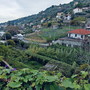 Sanremo prepara l'autunno: 185mila euro per la manutenzione dei torrenti tra Levante e Ponente in vista delle piogge Sanremo prepara l'autunno: 185mila euro per la manutenzione dei torrenti tra Levante e Ponente in vista delle piogge