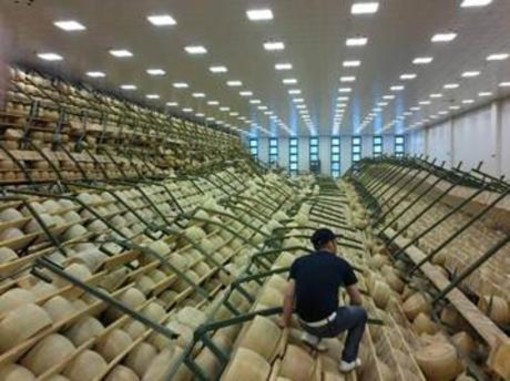 Imperia: domani vendita solidale del parmigiano delle aziende terremotate emiliane Imperia: domani vendita solidale del parmigiano delle aziende terremotate emiliane