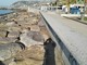 Sanremo: maleducati buttano immondizia sulla scogliera, stamattina il comune ha pulito l'area di Pian di Nave