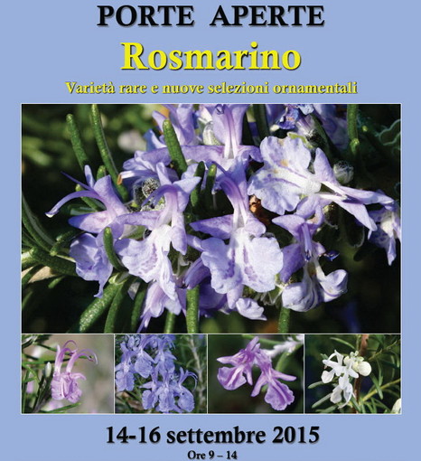 Sanremo: dal 14 al 16 settembre al Cra-Fso Porte Aperte dedicate a “Il rosmarino:  varietà rare e nuove selezioni ornamentali”